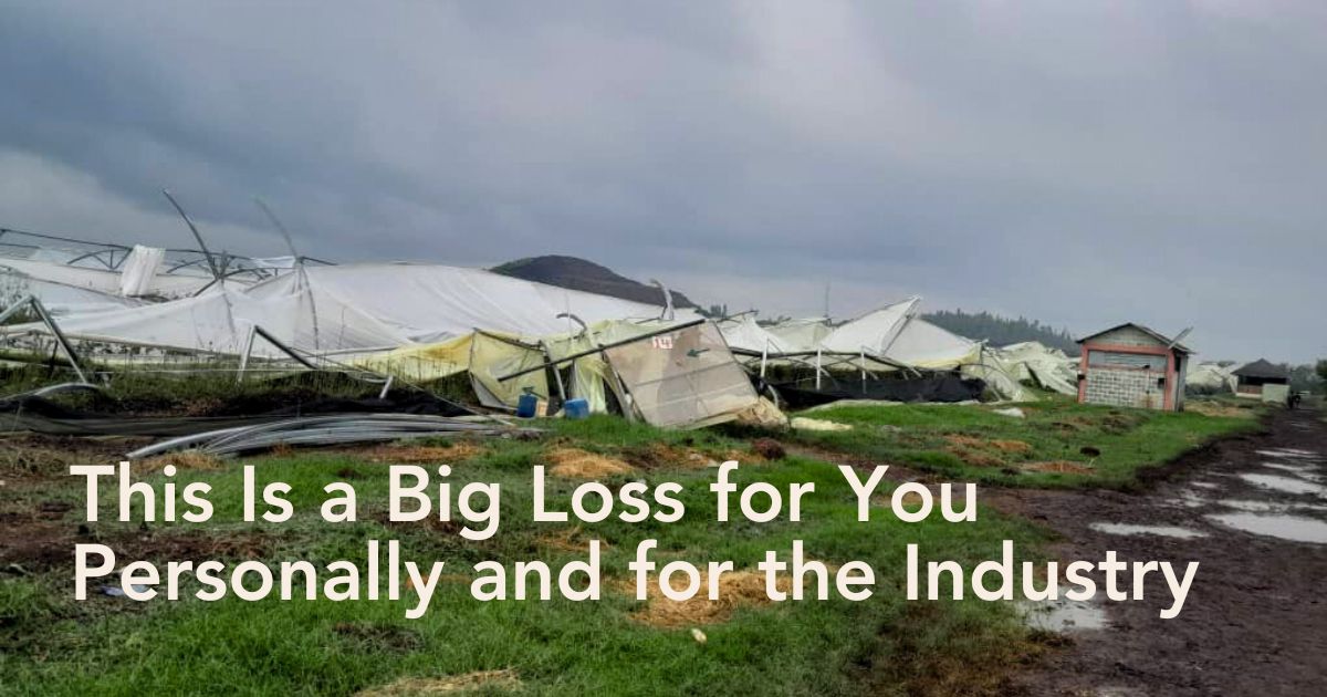 Storm Damage in Ethiopian Floriculture
