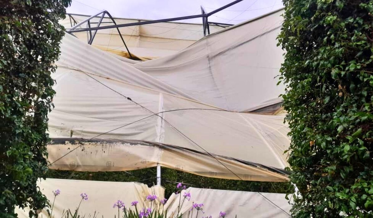 Storm Damage to Ethiopian Greenhouse