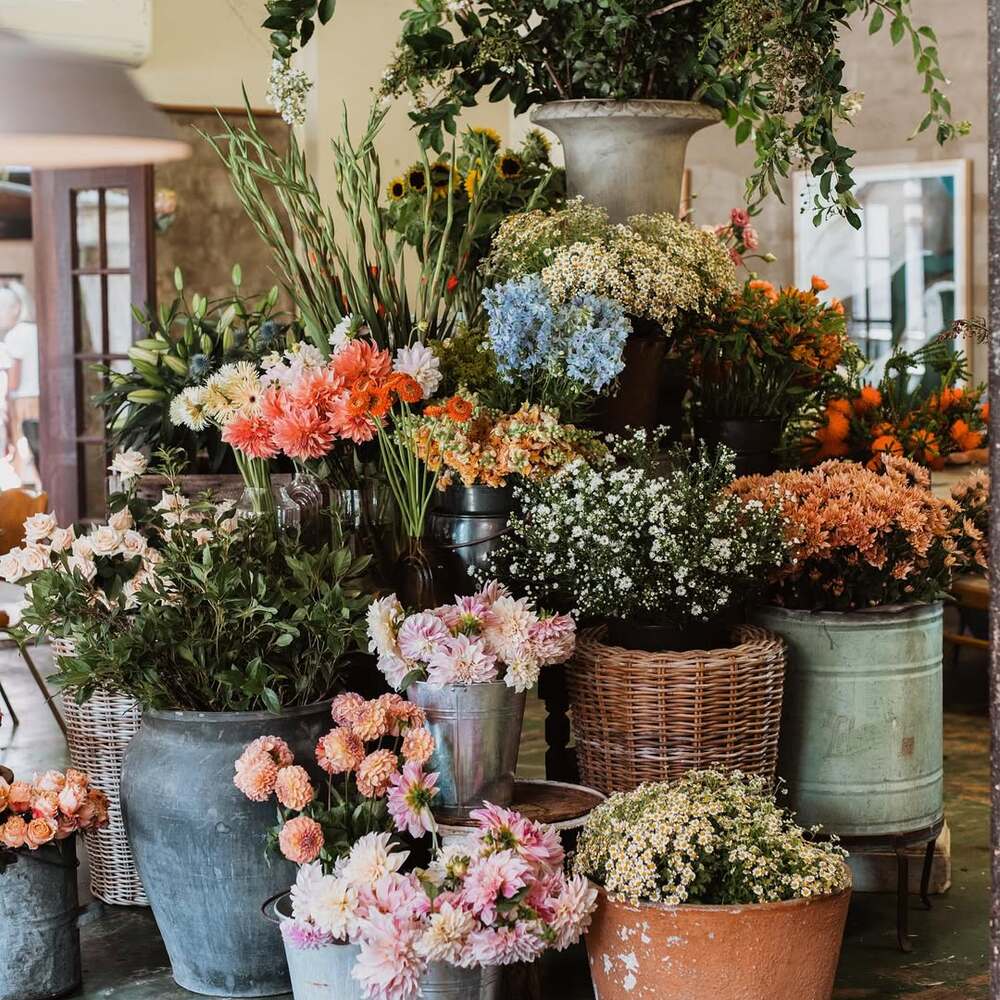 Fresh floral arrangements in flower shop
