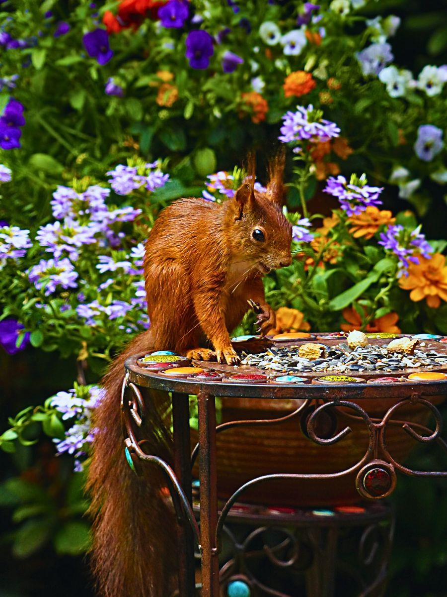National Wildlife Day Highlights the Importance of Animals in the Sustainability of Nature