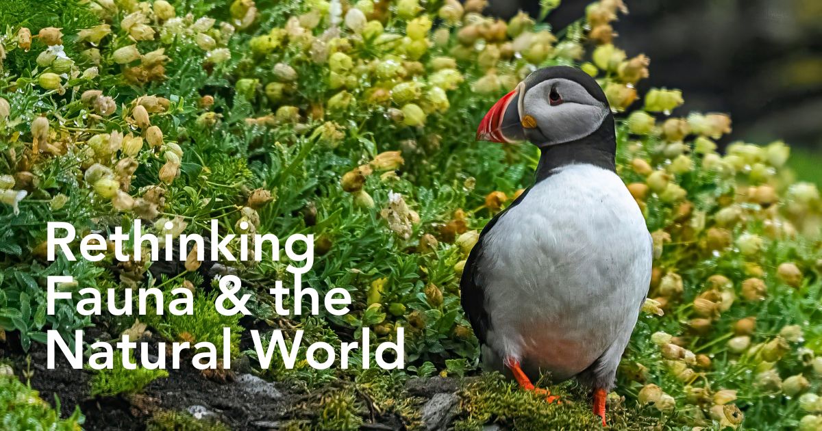 National Wildlife Day Highlights the Importance of Animals in the Sustainability of Nature - Thursd Article