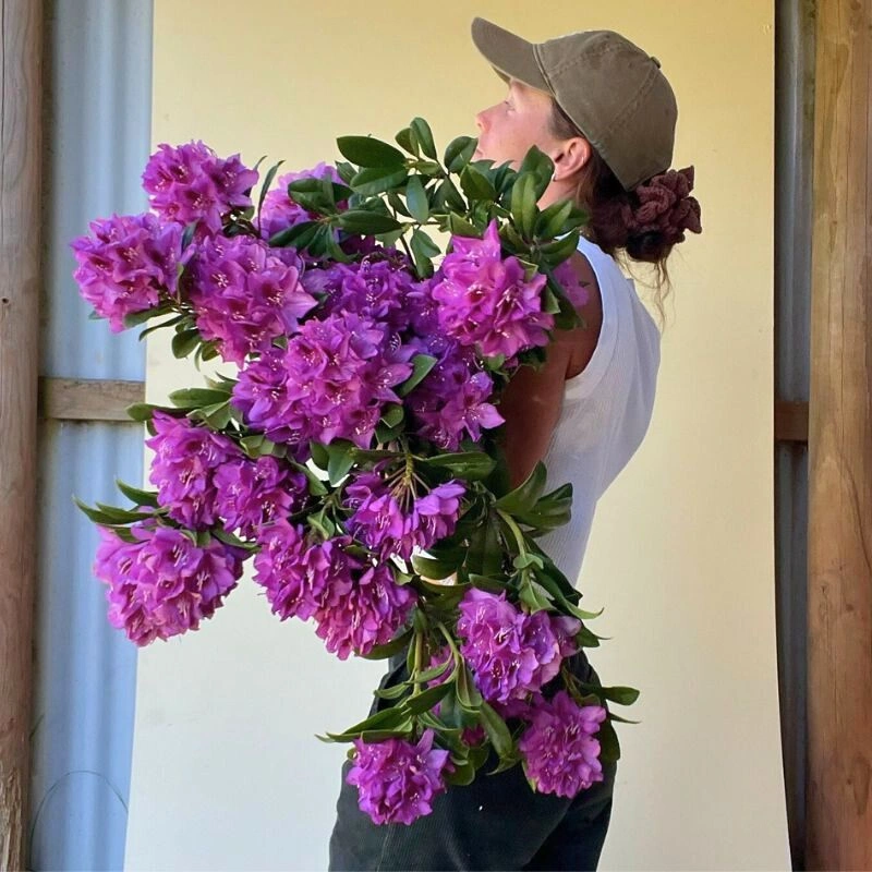 Hanakotoba - Sending Flowers After Divorce - Thursd Article Featured Image