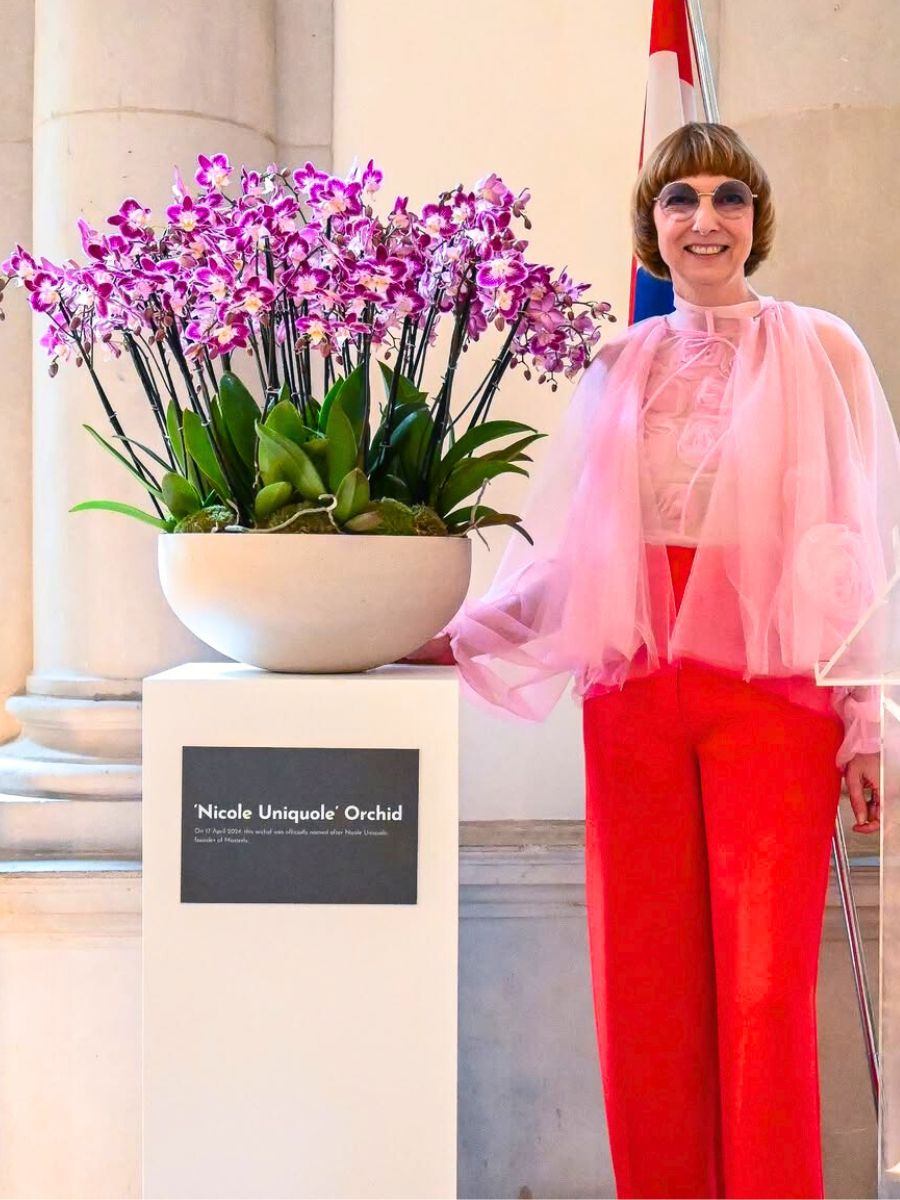 Nicole Uniquole orchid by Anthura Nicole Uniquole orchid by Anthura
