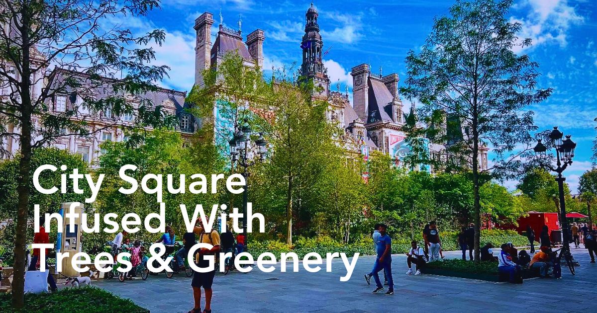 The Square of Hôtel de Ville Paris, Now Pulsates With Greenery and the Shade of Towering Trees, in an Urban Forest. - Thursd Article