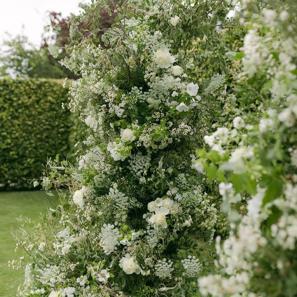 Elegant greenery with white flowers