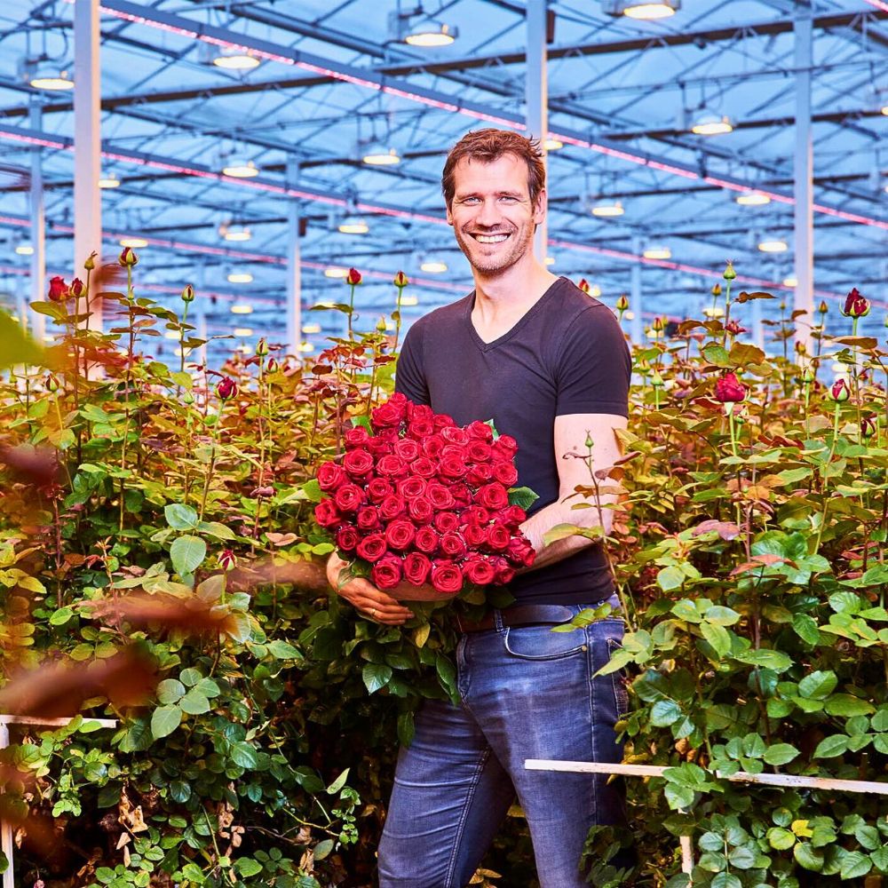 Red roses Economics of Sustainable Floriculture and How Going Green Pays Off