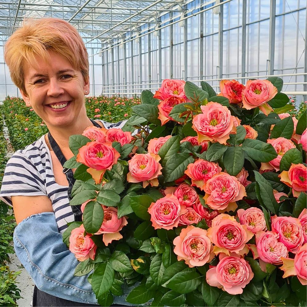 Roses Economics of Sustainable Floriculture and How Going Green Pays Off