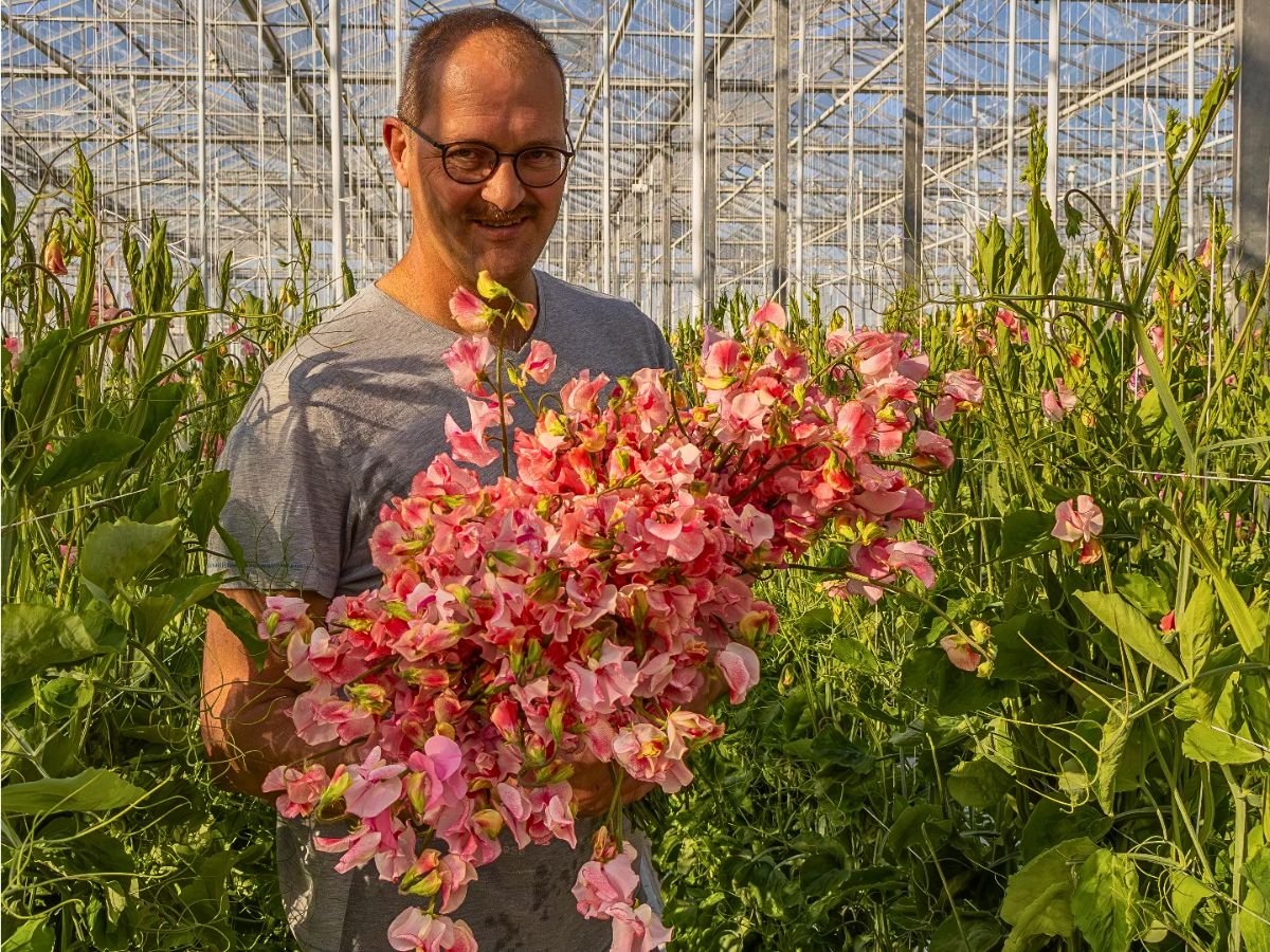 Sweet peas Economics of Sustainable Floriculture and How Going Green Pays Off