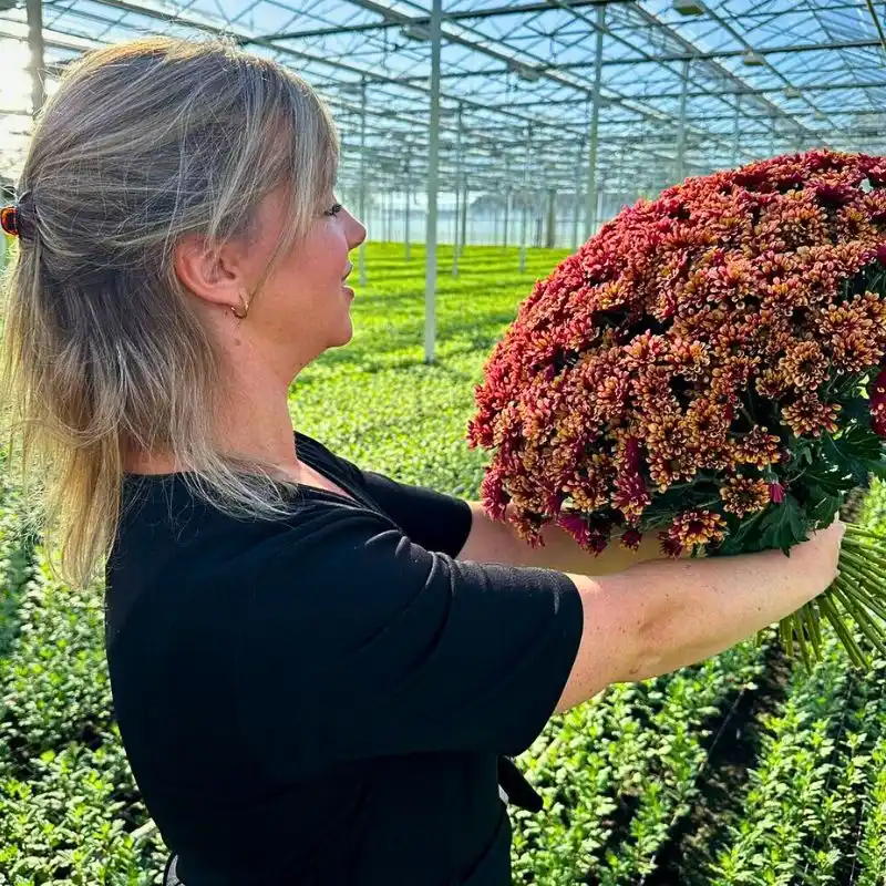 Economics of How Sustainable Floriculture Pays off in the Long Term - Thursd Article