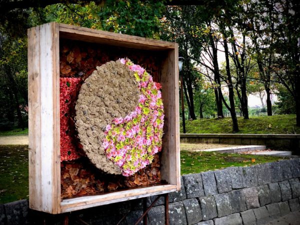 Christa Ory Chrysanthemums in Japanese Garden Hasselt for Haiku in Bloom - Just Chrys - Blog on Thursd