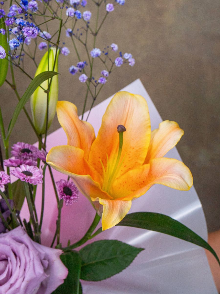 Orange lily flower by Mystic Flowers Orange lily flower by Mystic Flowers