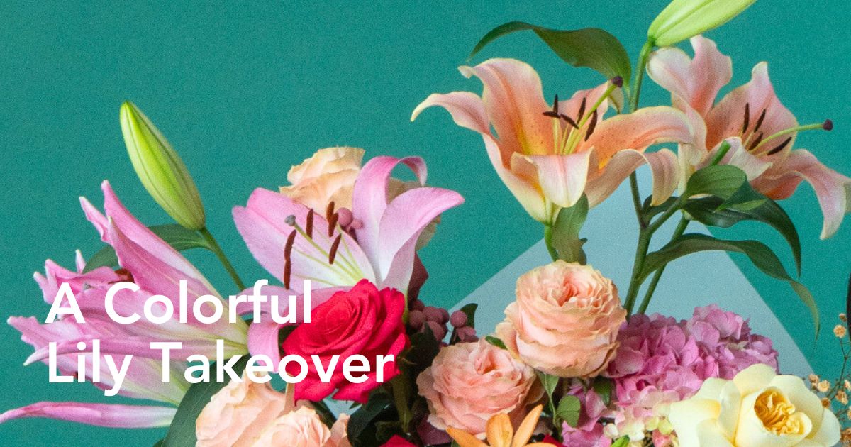A lily takeover by Mystic