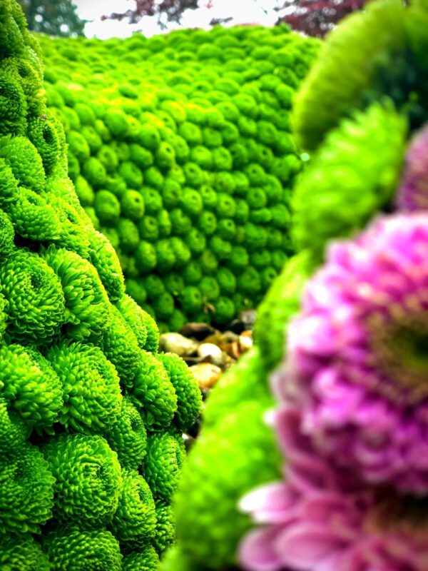 Design Japanese Garden Perfect picture Haiku In Bloom by Liz Rosales flowers Just Chrys - Blog on Thursd