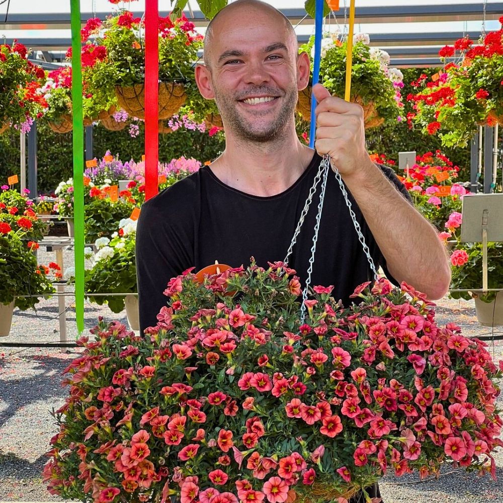 Flowers The Aesthetic and Therapeutic Values of Floriculture - Thursd Article