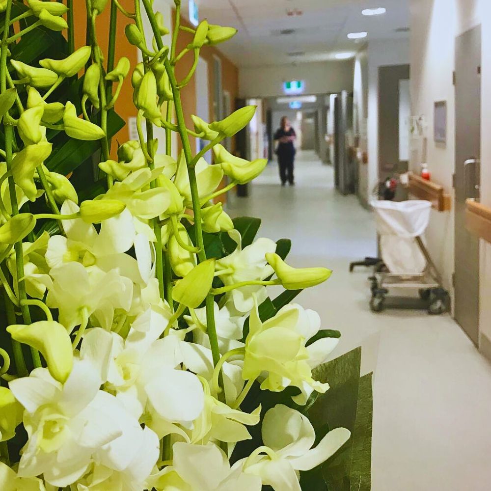 Flowers in the hospital The Aesthetic and Therapeutic Values of Floriculture - Thursd Article