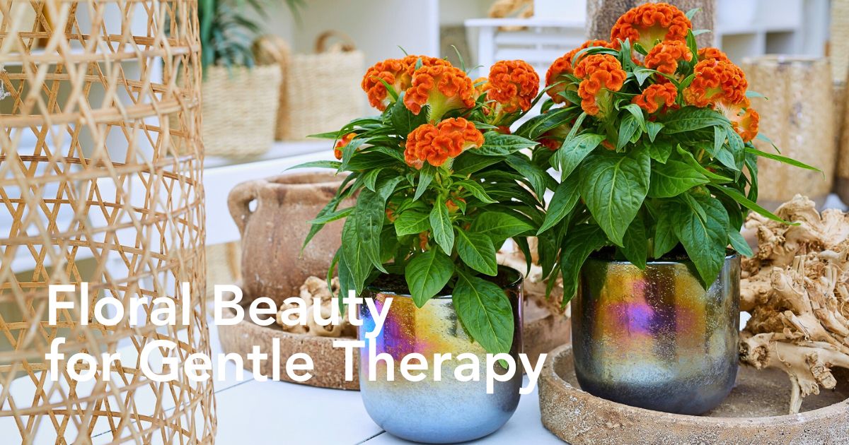 The Aesthetic and Therapeutic Values of Floriculture - Thursd Article