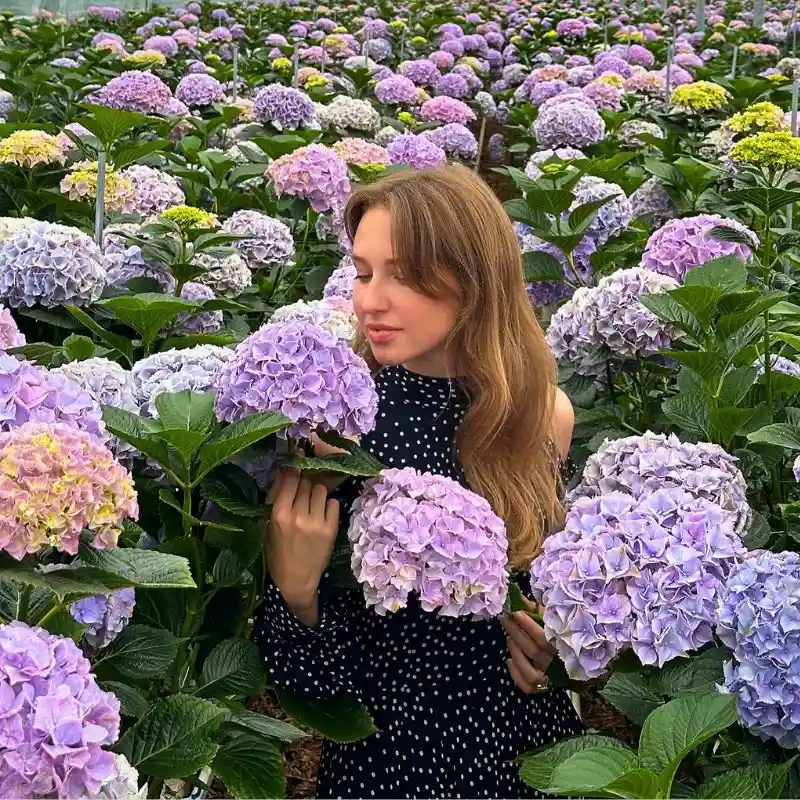 The Aesthetic and Therapeutic Values of Floriculture - Thursd Article