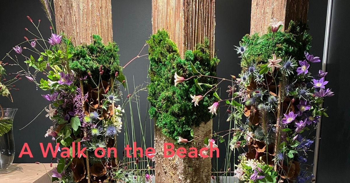 Beach Pillars by Jenny Ingrum