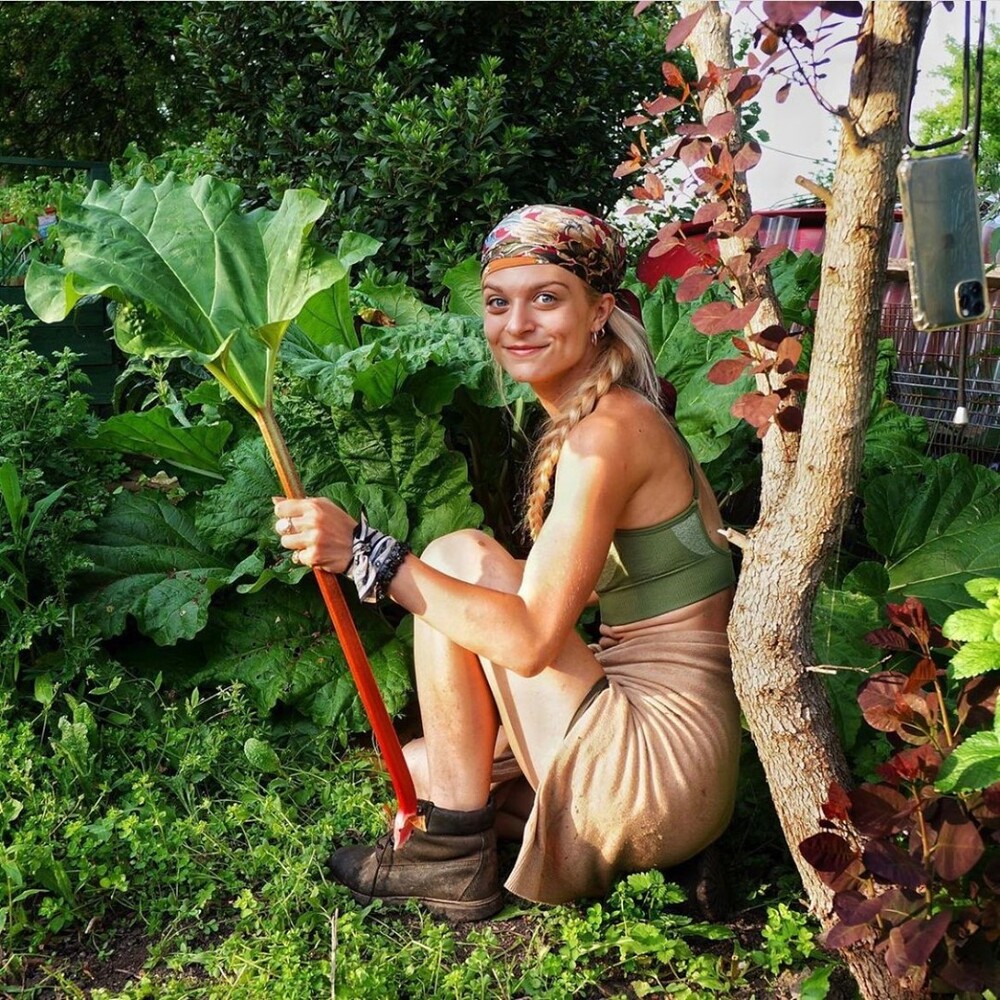 Smiling gardener harvesting fresh rhubarb Smiling gardener harvesting fresh rhubarb