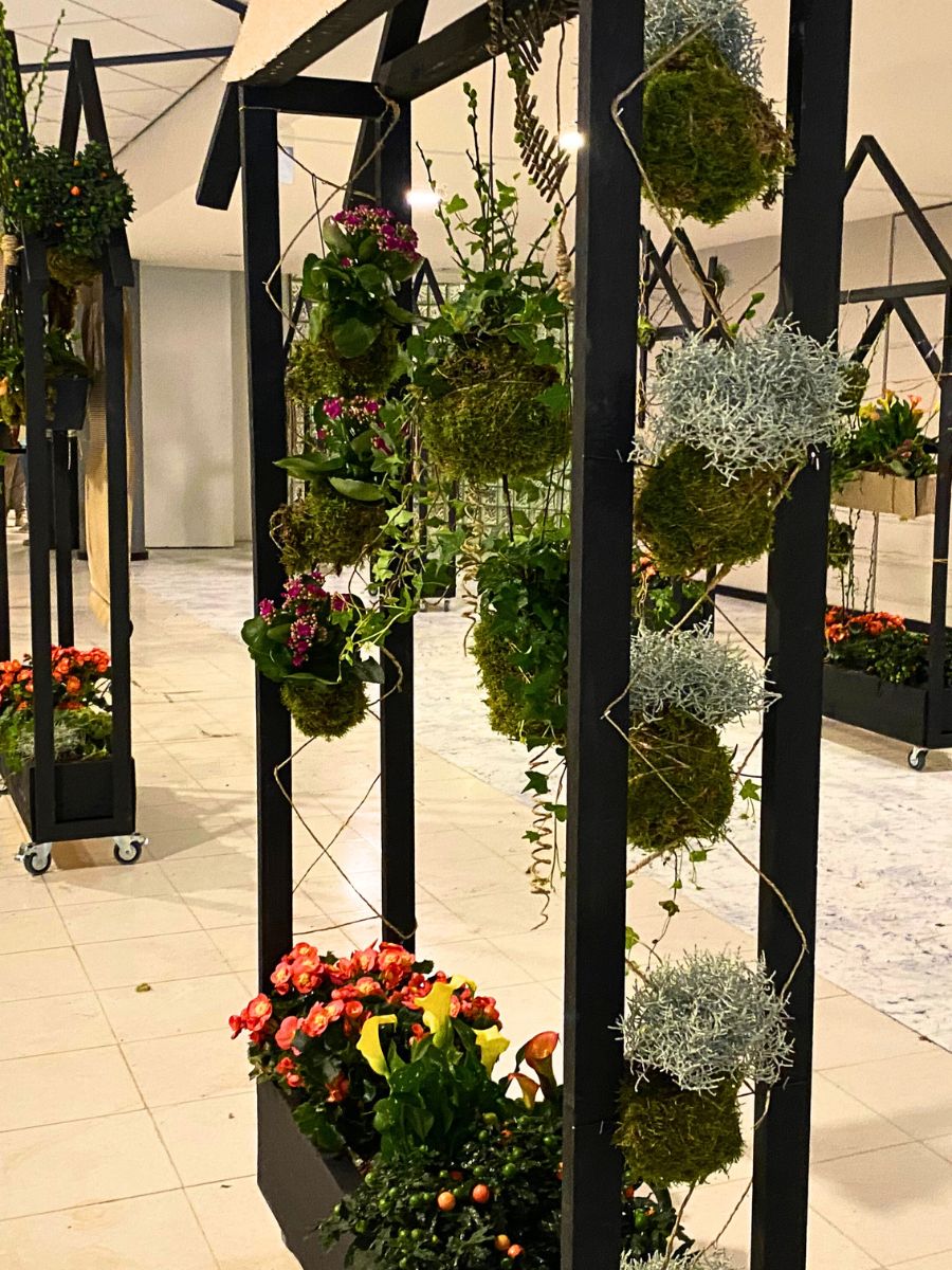 World Cup Floral Art Task 2 Plant arrangement