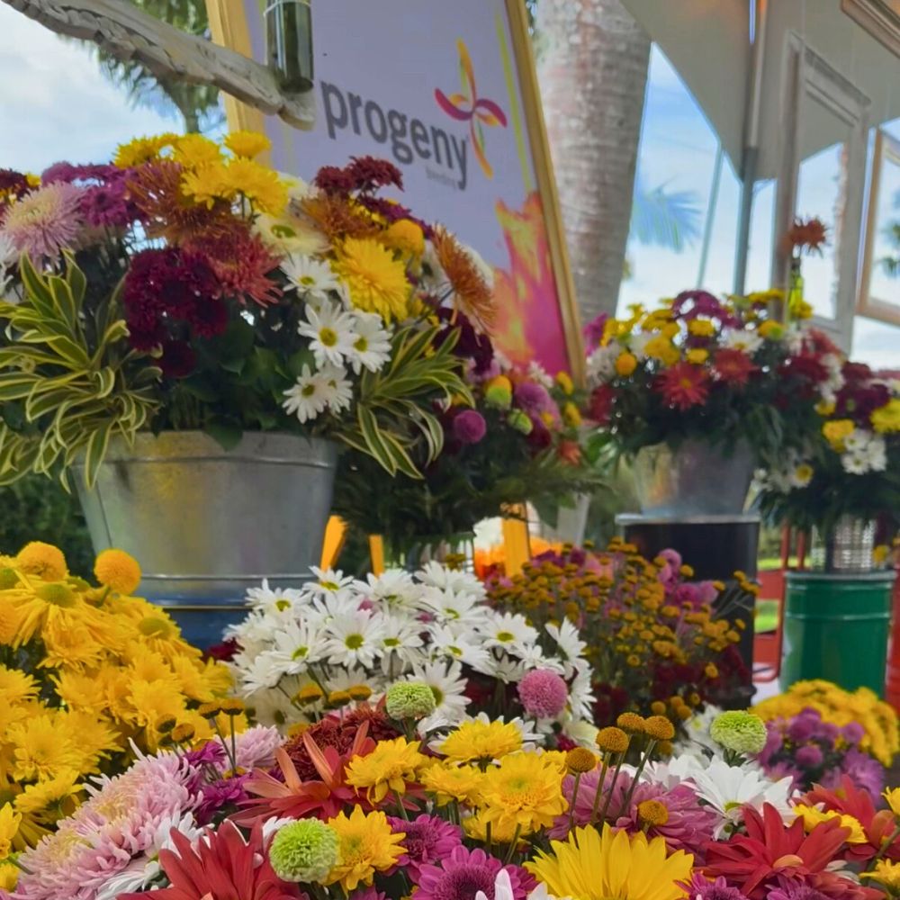 Progeny breeding displayed a wide range of their varieties at the chrysanthemum week Chrysanthemum week