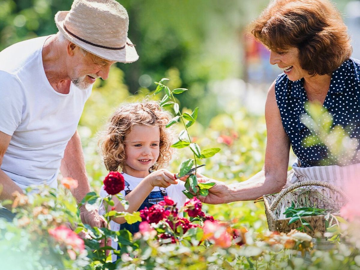 National Grandparents Day Honors the Elderly Custodians of Family Ties