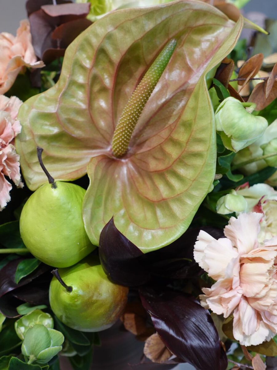 Helleborus and Anthurium by Solomon Leong on Thursd 03