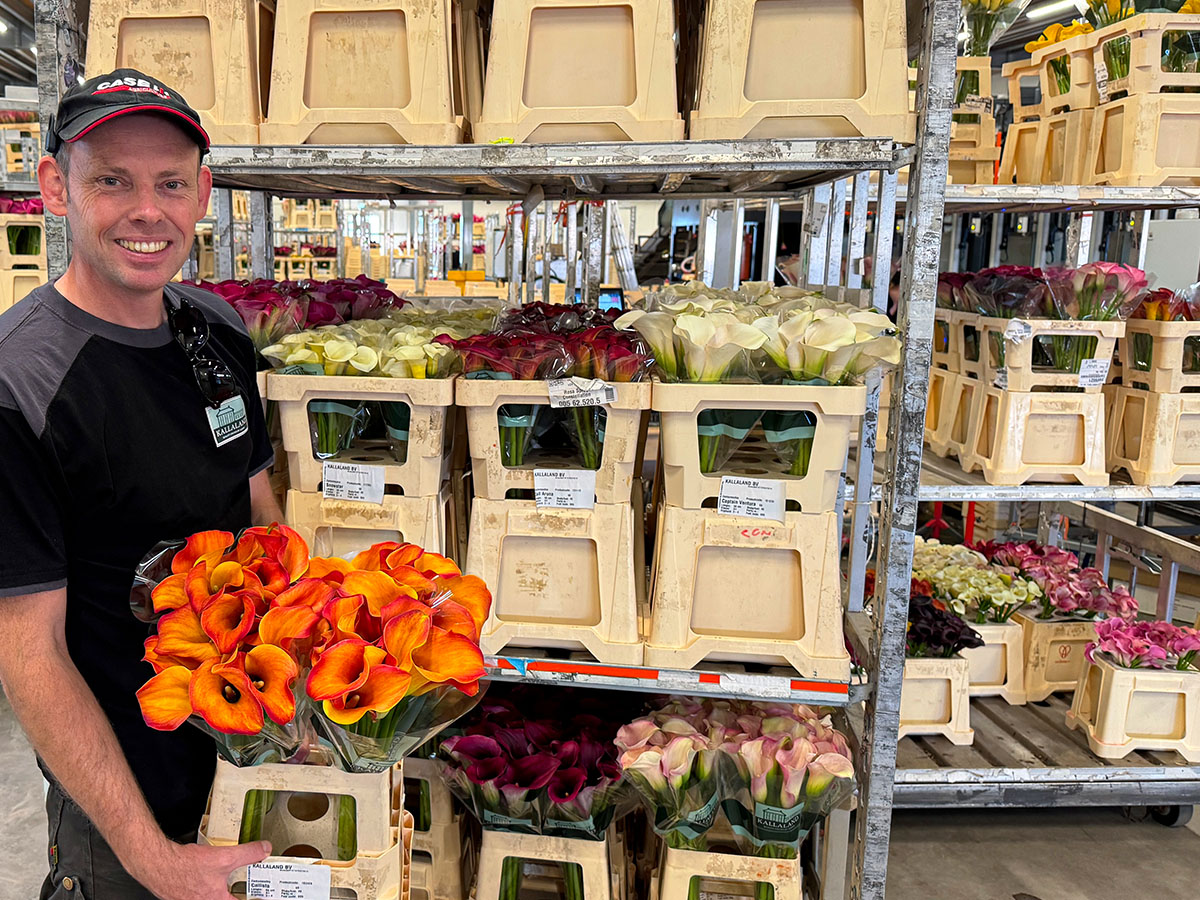 Kallaland Ton Kortekaas with calla trolleys Kallaland Ton Kortekaas with calla trolleys