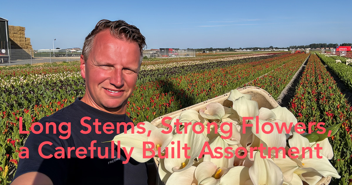 Simply Calla Kalland Peter van Delft
