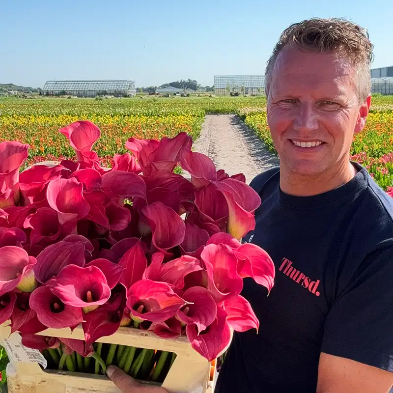 Simply Calla Kallaland blog Peter van Delft square feature