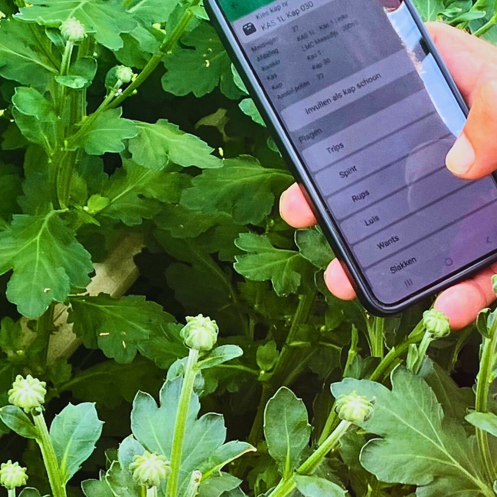 PlantScout on the smartphone With PlantScout Marginpar Enhances Quality Management in Farms Across Four Countries