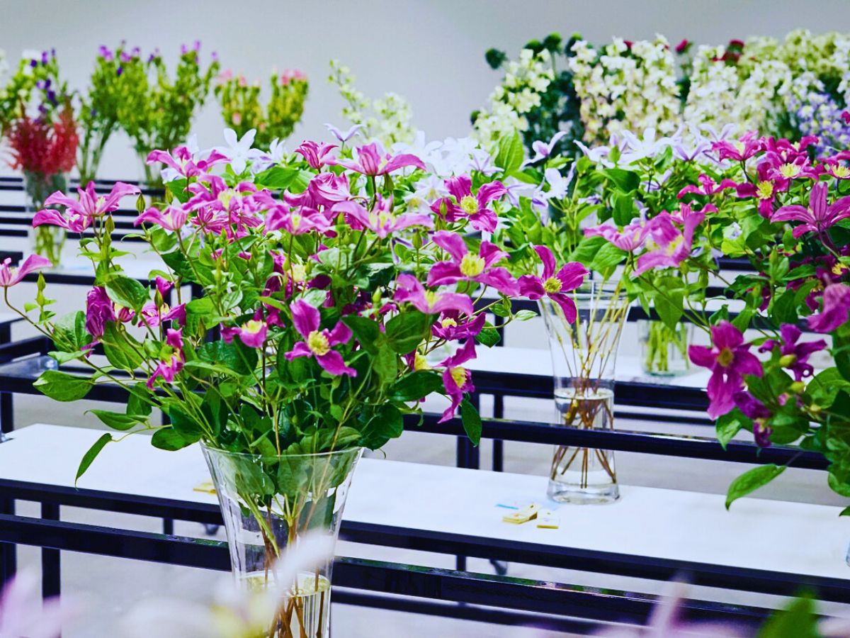 Flower Lab vase life testing With PlantScout Marginpar Enhances Quality Management in Farms Across Four Countries