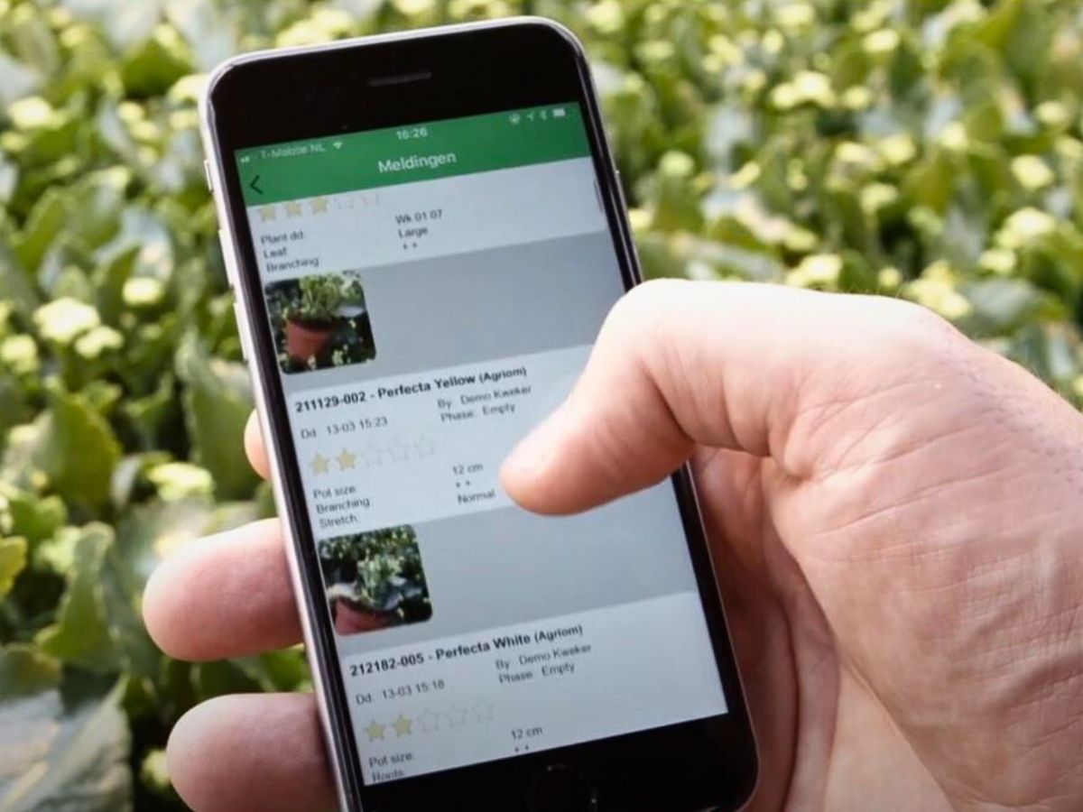 With PlantScout Marginpar Ensures Flower Quality Management Across Their Farms
