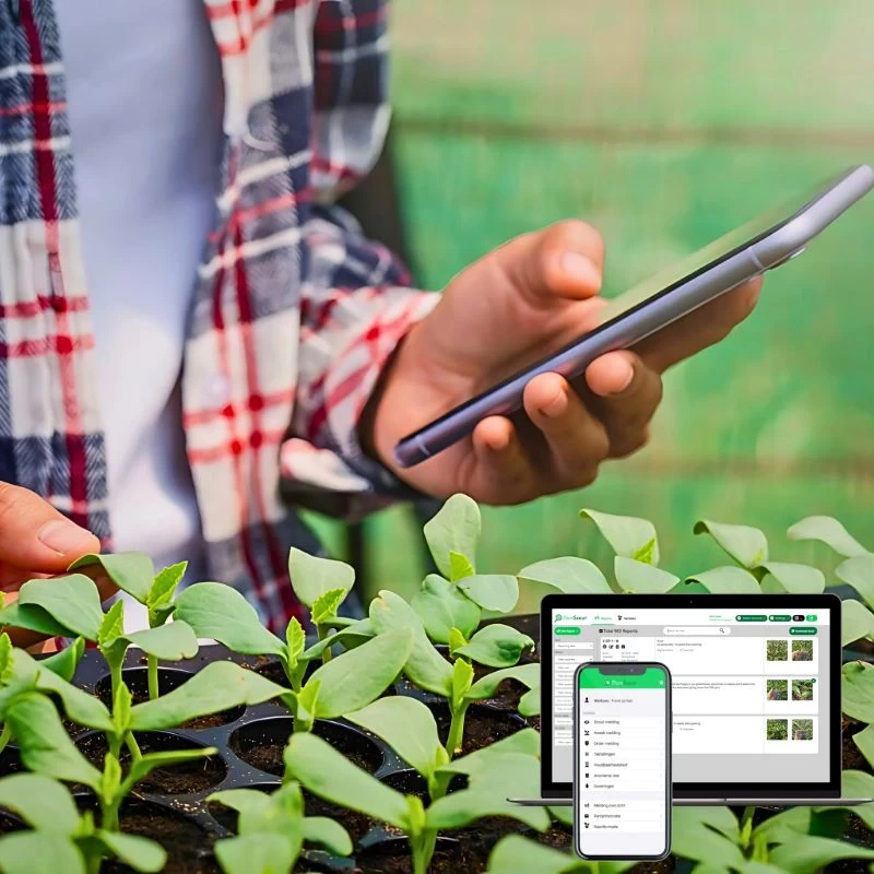 With PlantScout Marginpar Enhances Quality Management in Farms Across Four Countries - Thursd Article