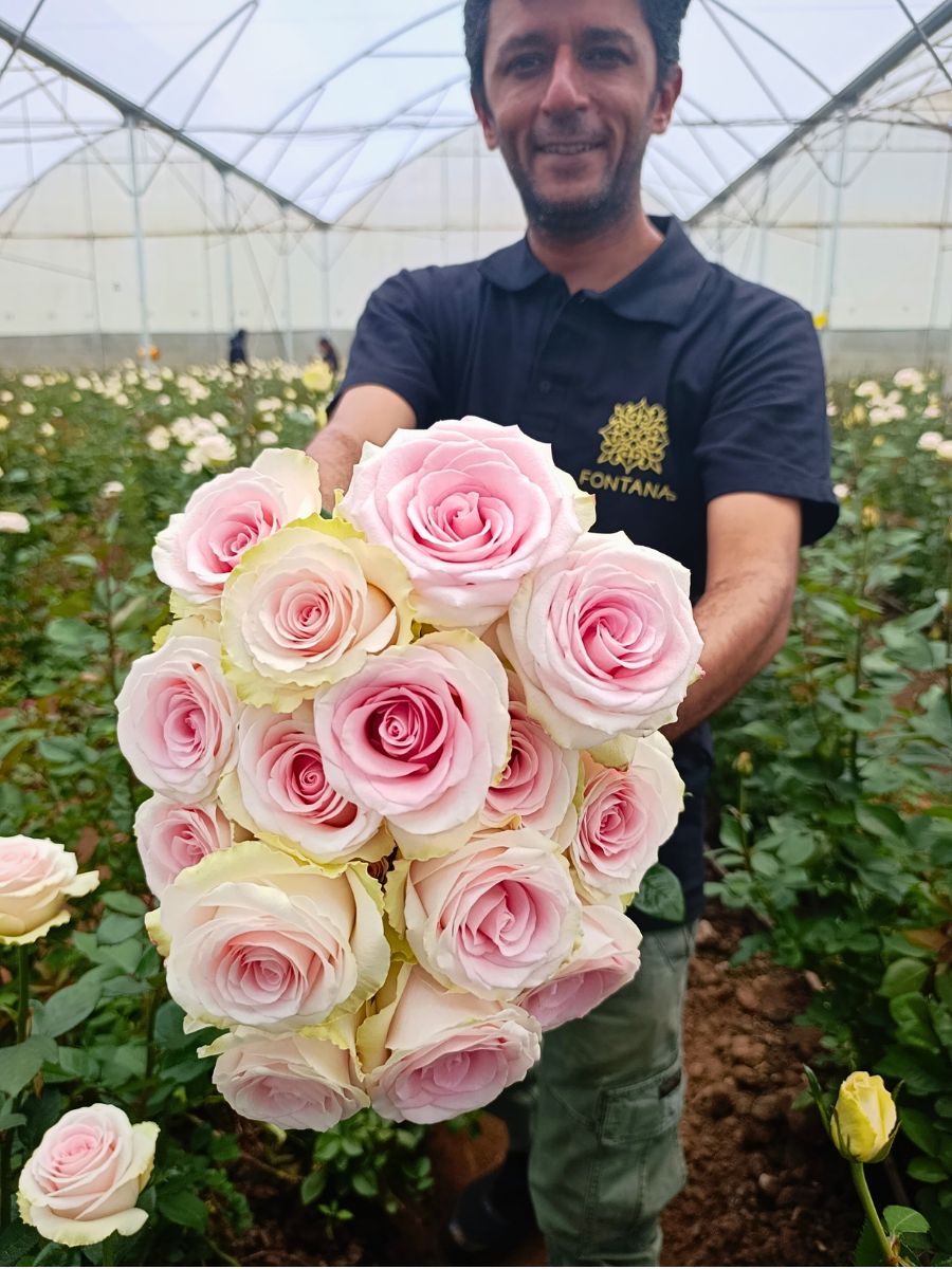 Fontana's Arfhan Mughal Grower Fontana Harnesses Altitude Influence for Premium Flower Success