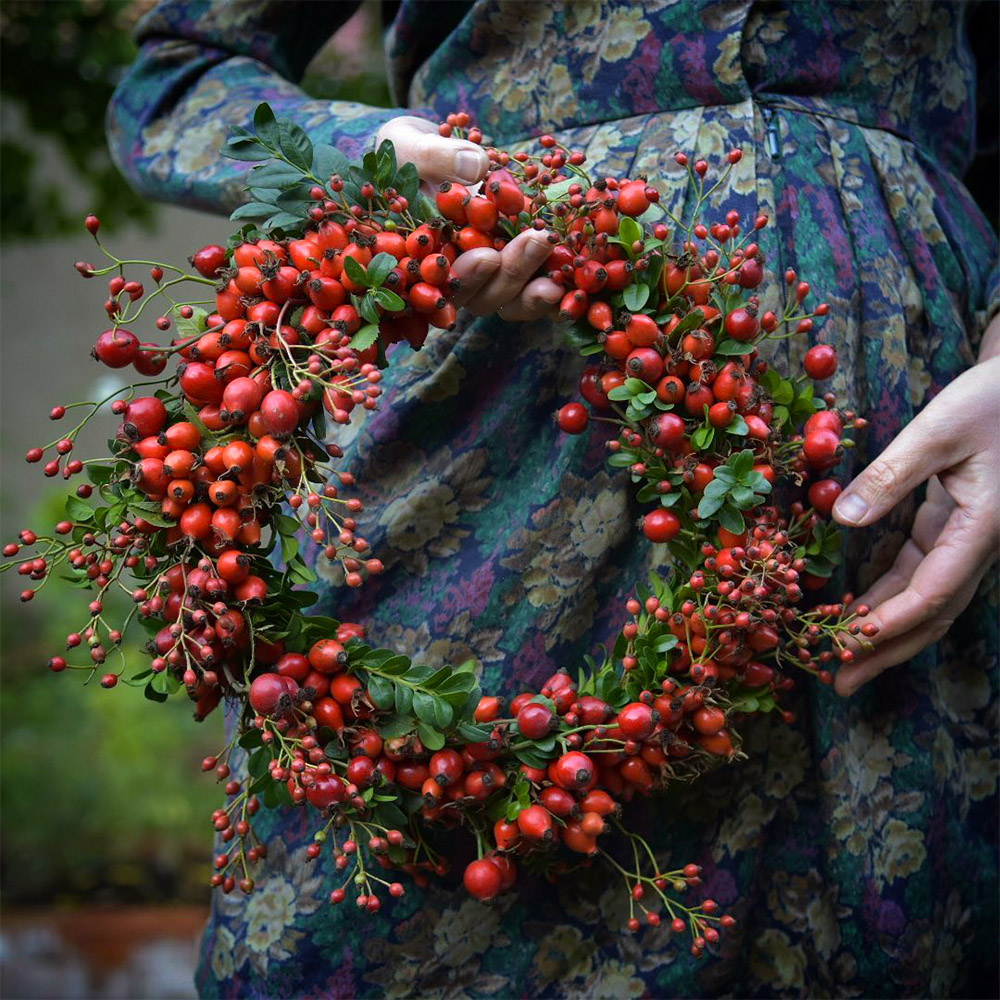 Rosehip wreath