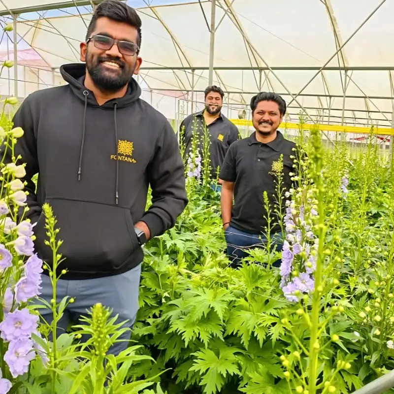 Grower Fontana Harnesses Altitude Influence to Ensure Premium Flowers Success - Thursd Article