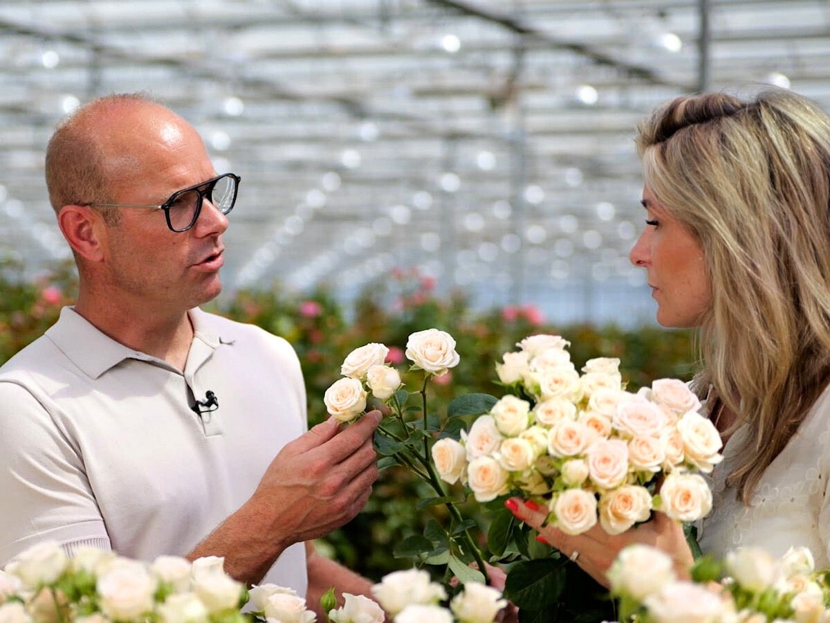 Lisa Casta being shown different cut stages at Interplant Roses show house in the Netherlands World of Spray Roses