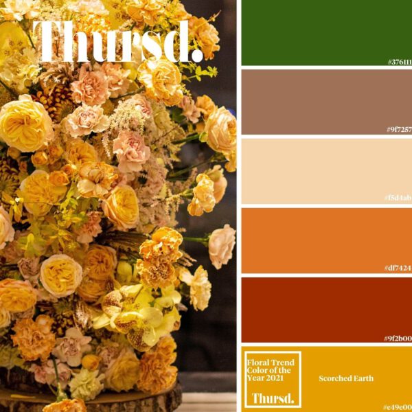 The Comeback Color of the Year 2021 - Blog on Thursd