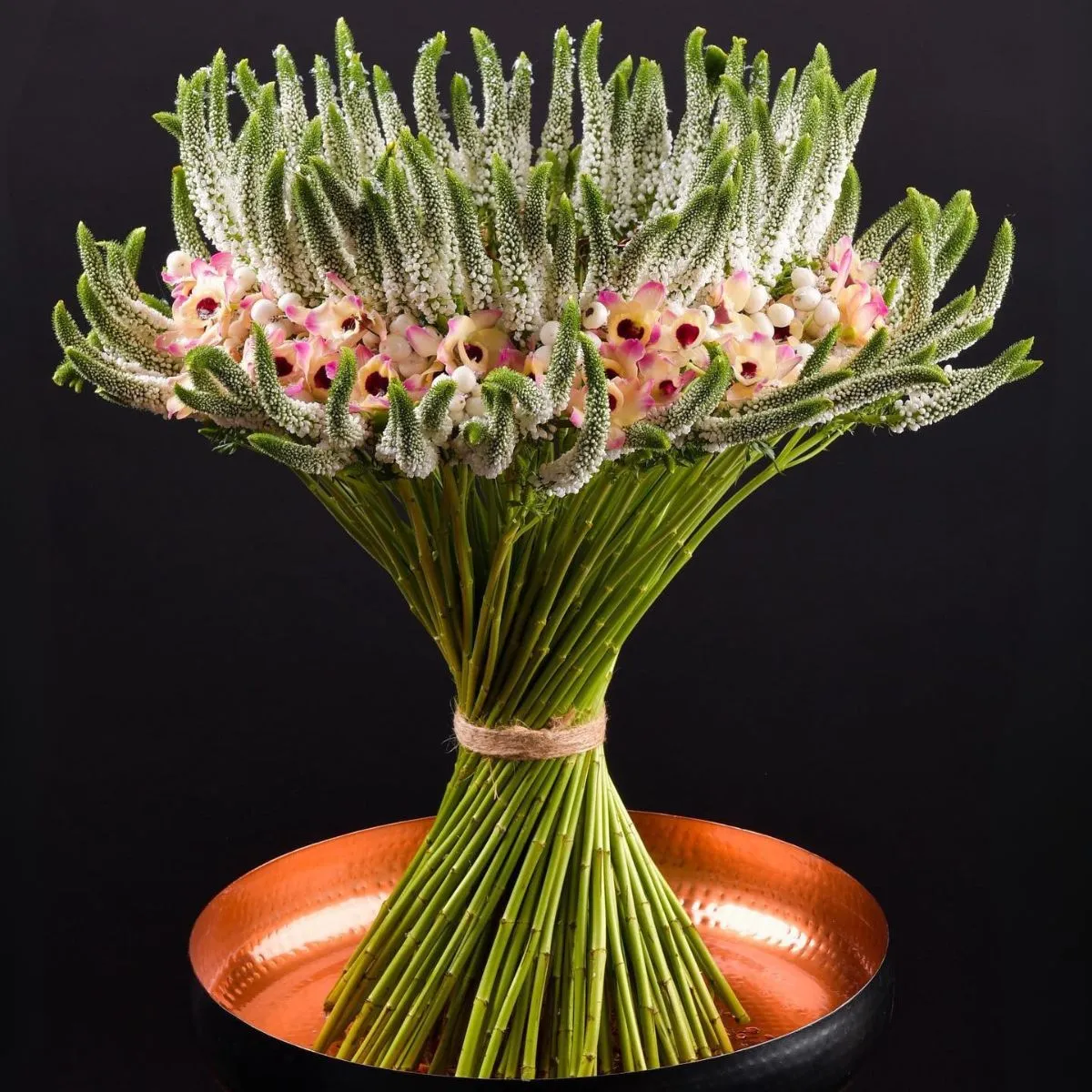 Veronica Cut Flowers - Thursd Article Featured Image