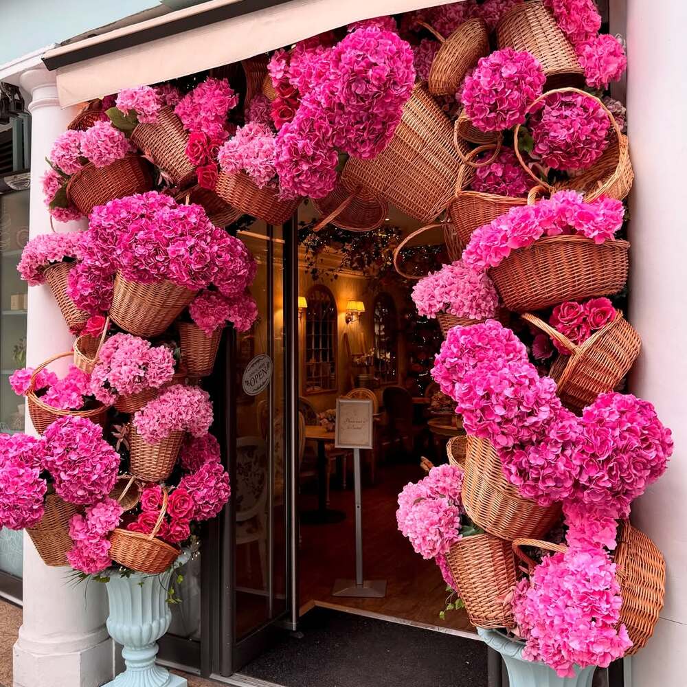 Vibrant pink floral entrance display