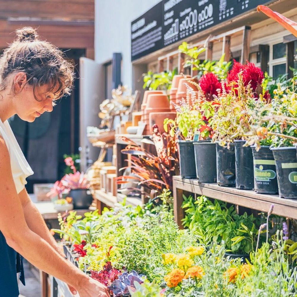 Biodynamic garden Biodynamic Gardening and the Role of Flowers in This Practice