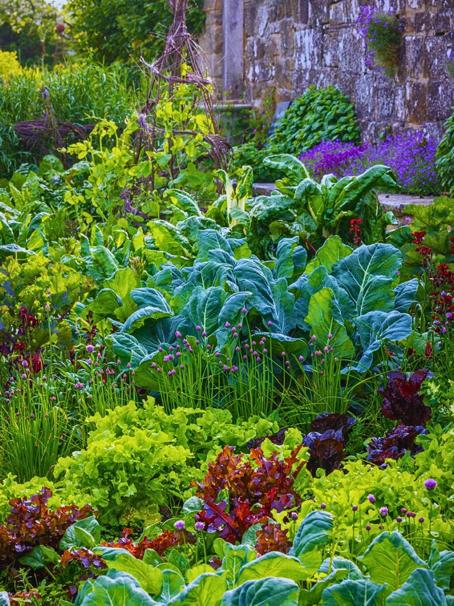 Gardening Biodynamic Gardening and the Role of Flowers in This Practice