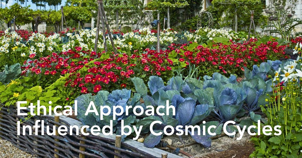 Biodynamic Gardening and the Role of Flowers in This Practice - Thursd Article