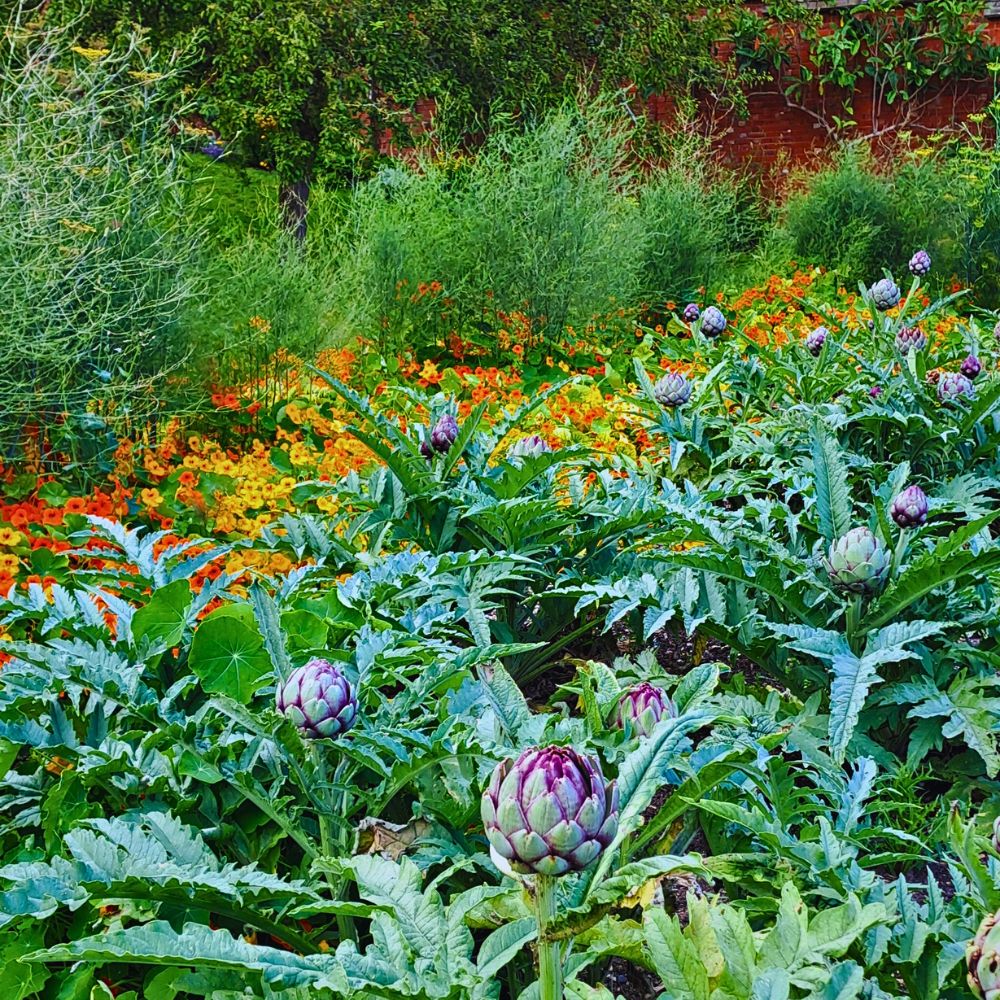 Vegetable and flower garden Biodynamic Gardening and the Role of Flowers in This Practice