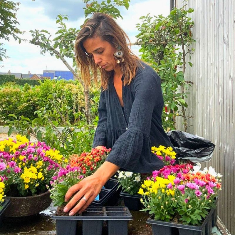 Floral designer Josefien Goethals with PaX Chrysanthemums Floral designer Josefien Goethals with PaX Chrysanthemums