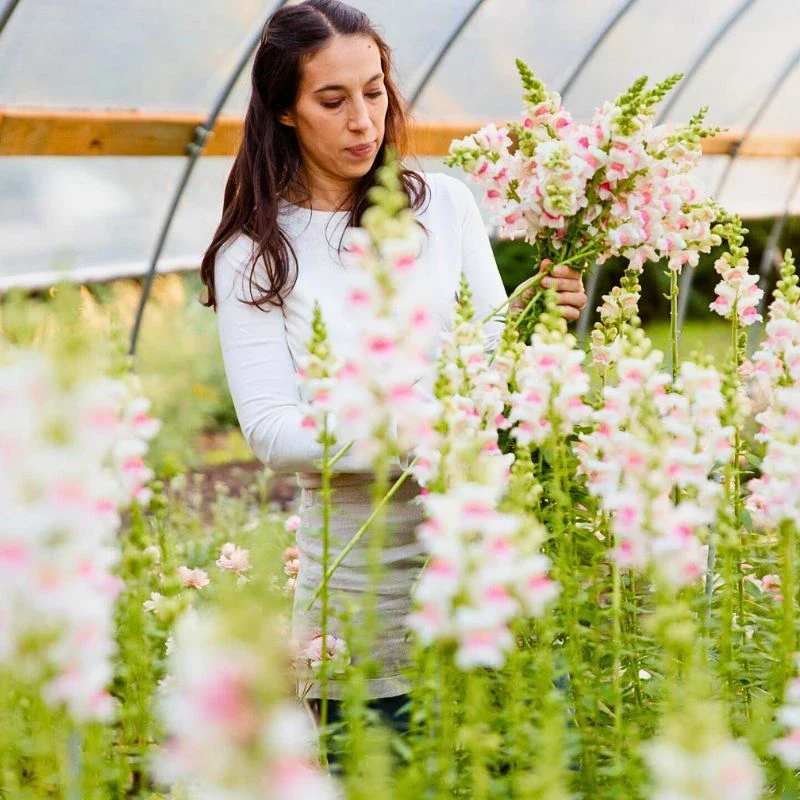 Permaculture Is the Sustainable Approach for Growing Sustainable Flowers in Harmony With Nature - Thursd Article