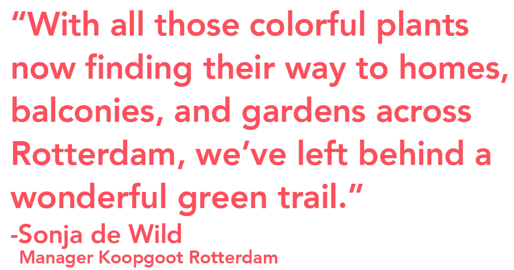 Kalanchoe promotion Rotterdam Quote Sonja de Wild