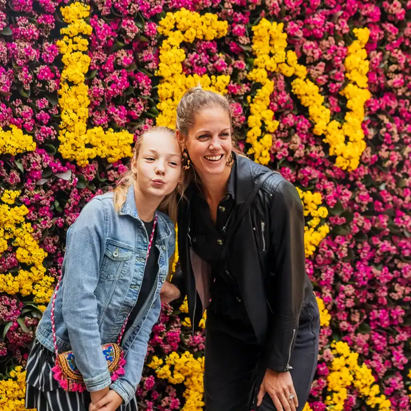 Kalanchoë Rotterdam promotion