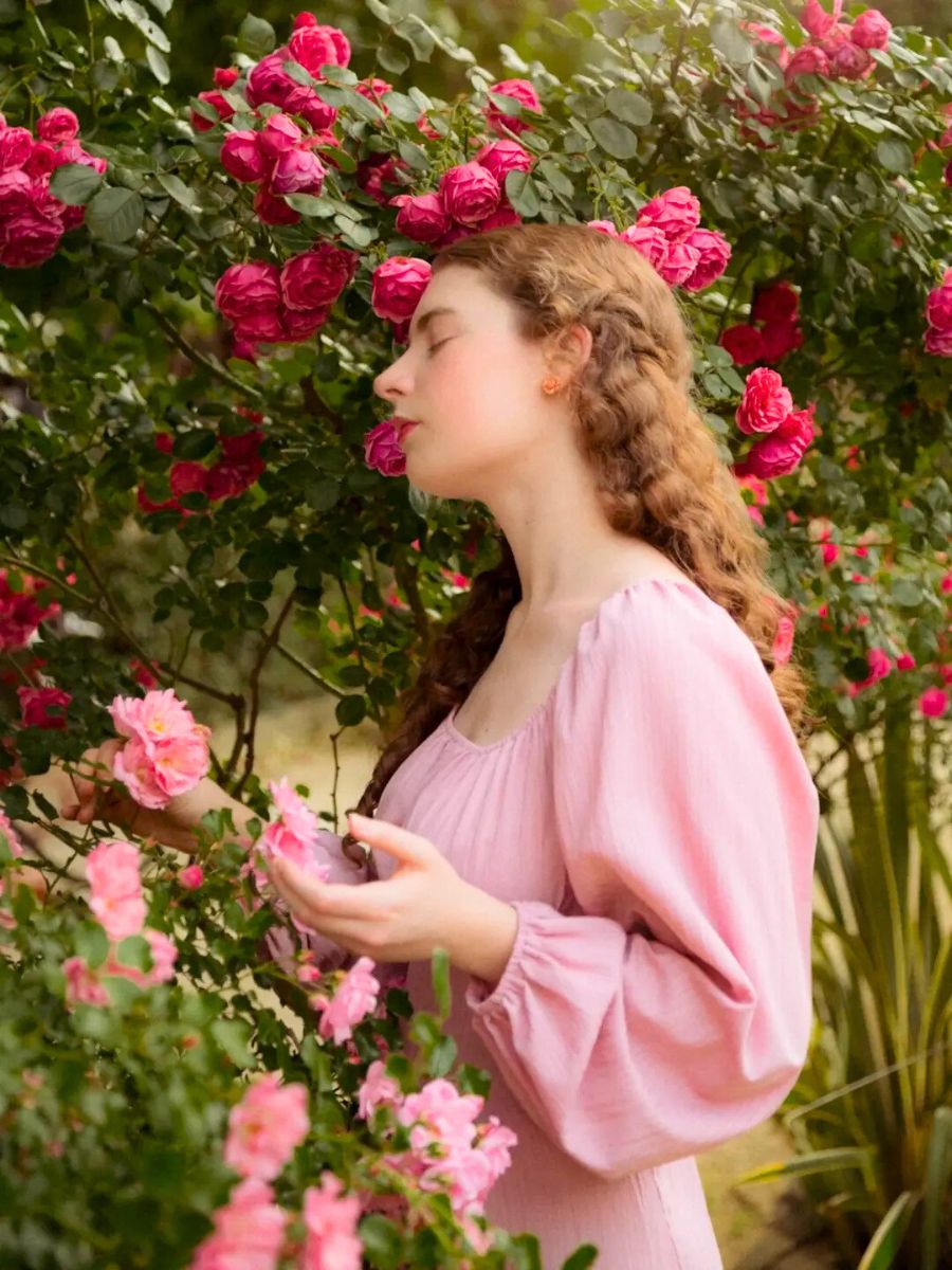 Mini garden roses in bloom